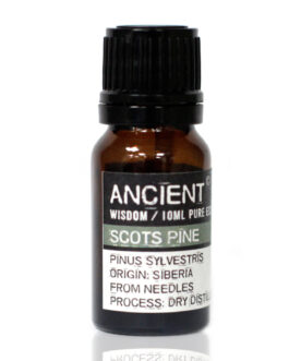 10 ml Ulei esențial de pin Sylvestris (pin silvestris).