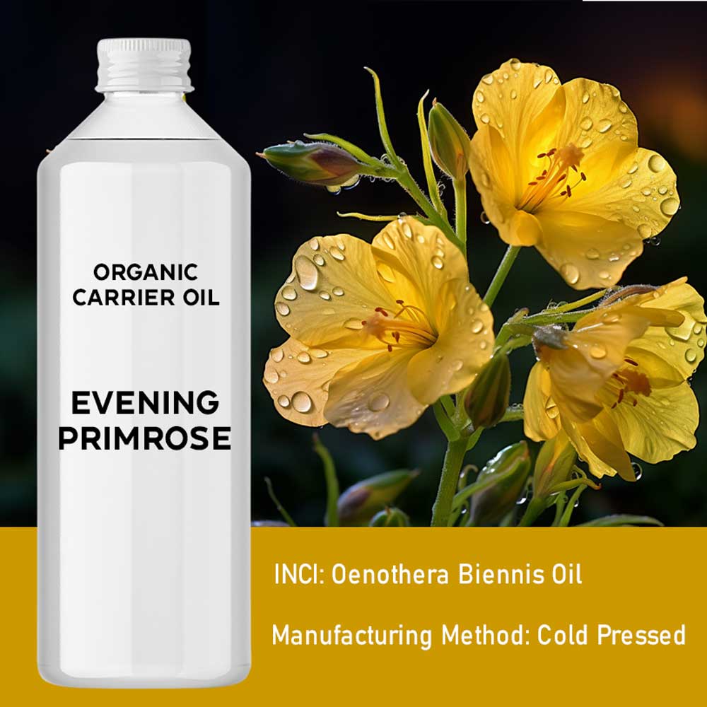 Ulei organic de primula de seara 1 litru