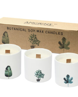 3x Lumanari Botanice Mari – Marsh Violet