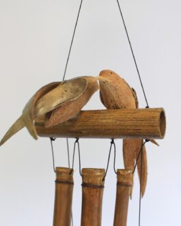 Cariloni din Cocos – Păsări