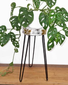Stand pentru plante din lemn Albasia – varuit