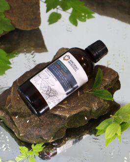 Hidrolat de mentă 100 ml