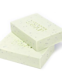 Săpun Greenman 100g – Luptător Antiseptic