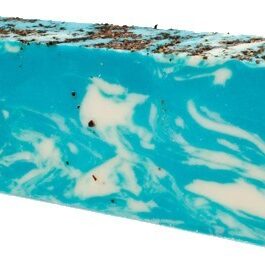Alge marine – felie de săpun cu ulei de măsline