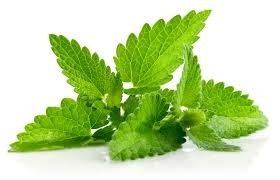 Săpun EO felie Menta 100g aprox 4 Săpun EO felie Menta 100g aprox - imagine 2