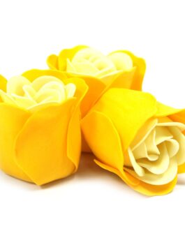 Set 3 Cutie Inimă Floare De Săpun – Trandafiri De Primăvară