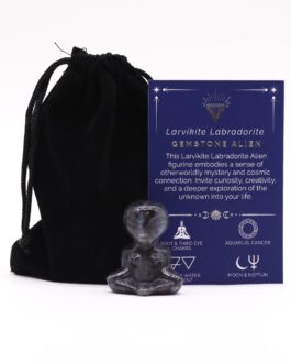 Extraterestru din Piatră semiprețioasă – Labradorit Larvikite