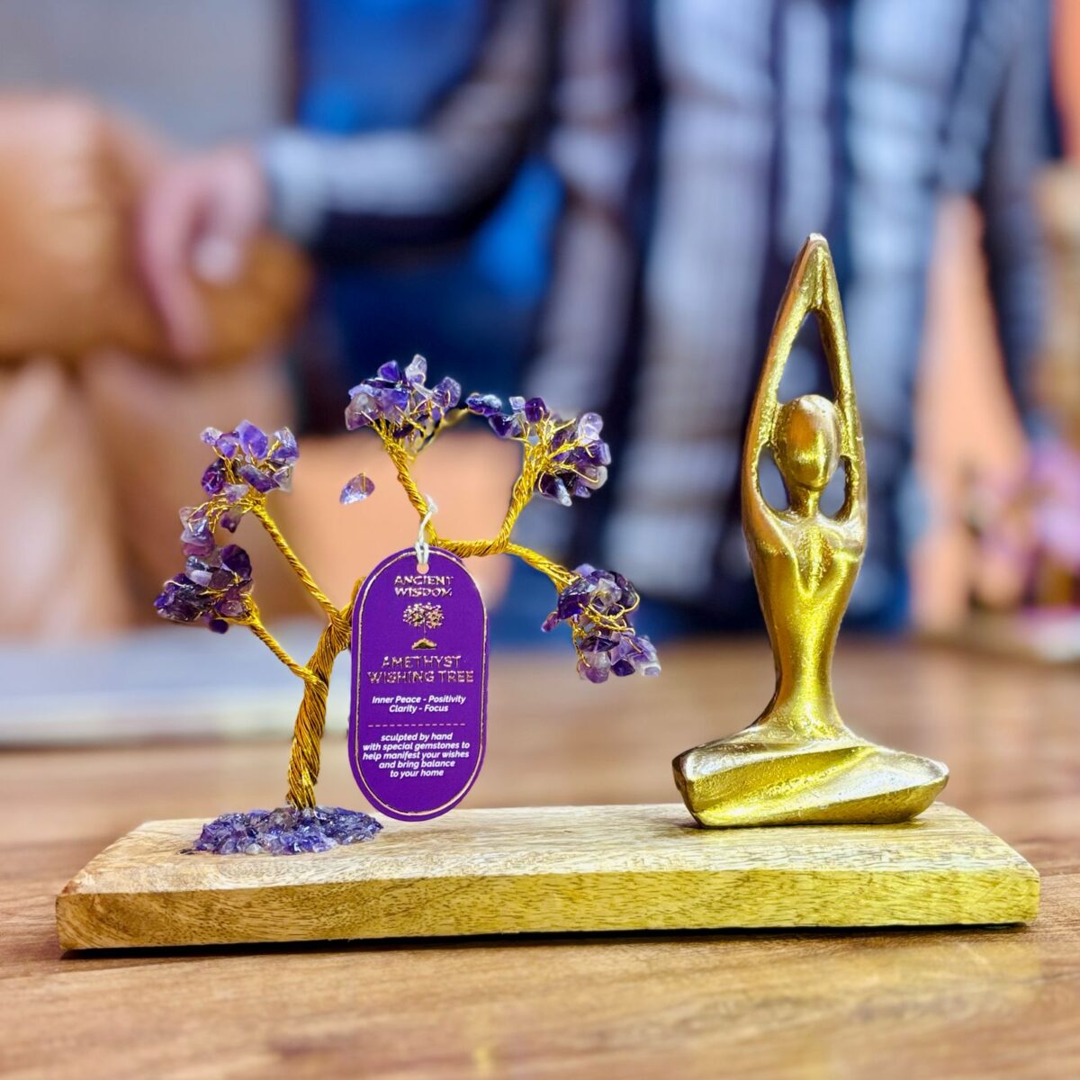 Grădina de Yoga cu Pietre semiprețioase - Poziția Sukhasana
